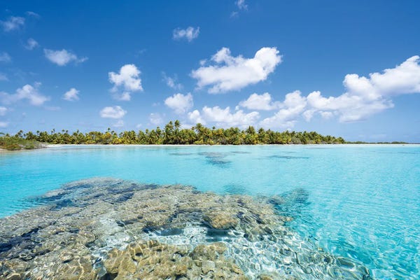 French Polynesia: Beautiful Blue Lagoon, Fakarava Atoll, French Polynesia by Jan Becke