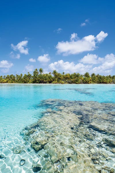 French Polynesia: Blue Lagoon, Fakarava Atoll, French Polynesia by Jan Becke