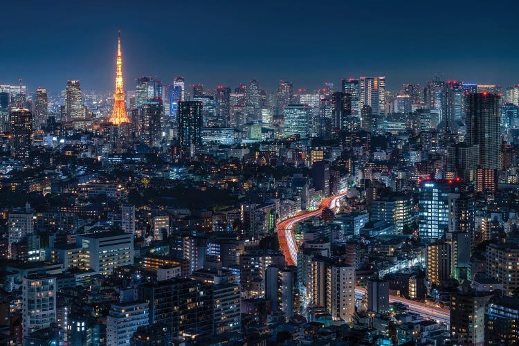 Tokyo Skyline At Night With Tokyo Tower