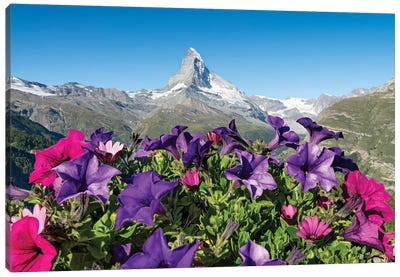 The Matterhorn In Spring Canvas Art Print - Switzerland Art