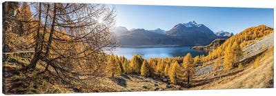 Lake Sils Panorama (Silsersee) In Autumn Season, Upper Engadine Valley, Switzerland Canvas Art Print - Switzerland Art