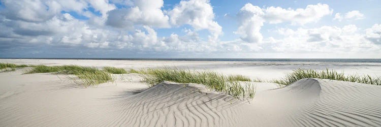 Dune Beach Panorama On A Sunny Day