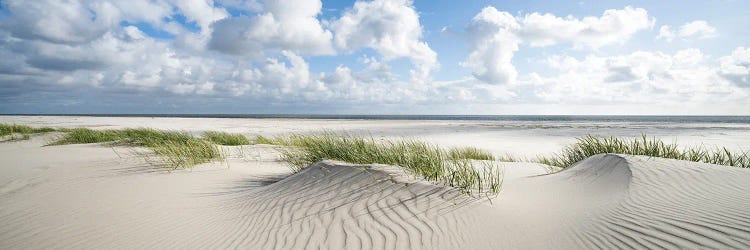 Dune Beach Panorama On A Sunny Day by Jan Becke wall art