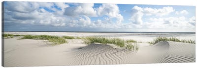 Dune Beach Panorama On A Sunny Day Canvas Art Print - Coastal Sand Dune Art