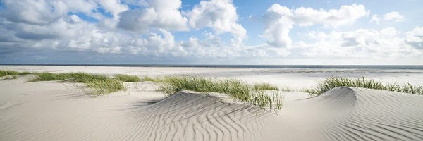 Coastal Sand Dunes: Dune Beach Panorama On A Sunny Day by Jan Becke