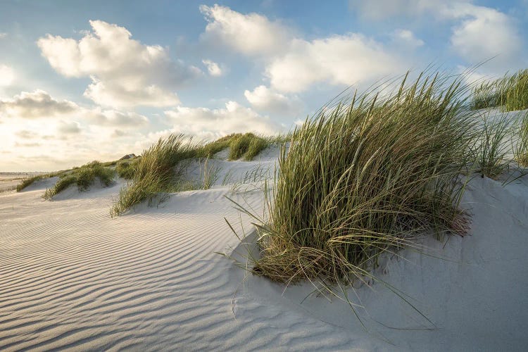 Dune Beach With Sunset Clouds