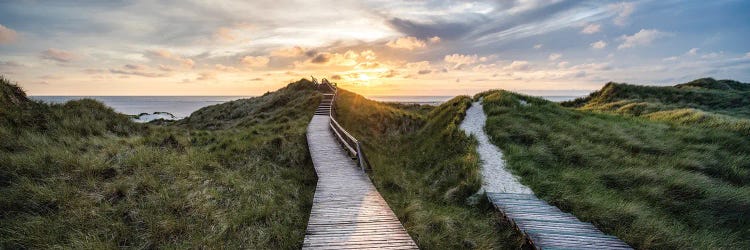 Wooden Path Through The Dune Landscape At Sunset