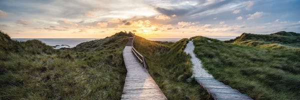 Wooden Path Through The Dune Landscape At Sunset