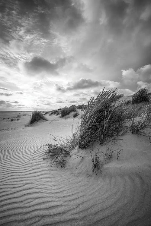 Dune Landscape With Beach Grass In Black And White