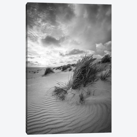 Dune Landscape With Beach Grass In Black And White Canvas Print #JNB2469} by Jan Becke Canvas Wall Art