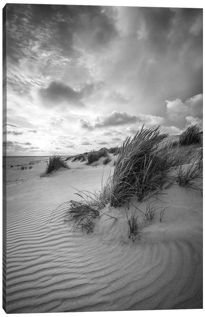 Dune Landscape With Beach Grass In Black And White Canvas Art Print - Jan Becke