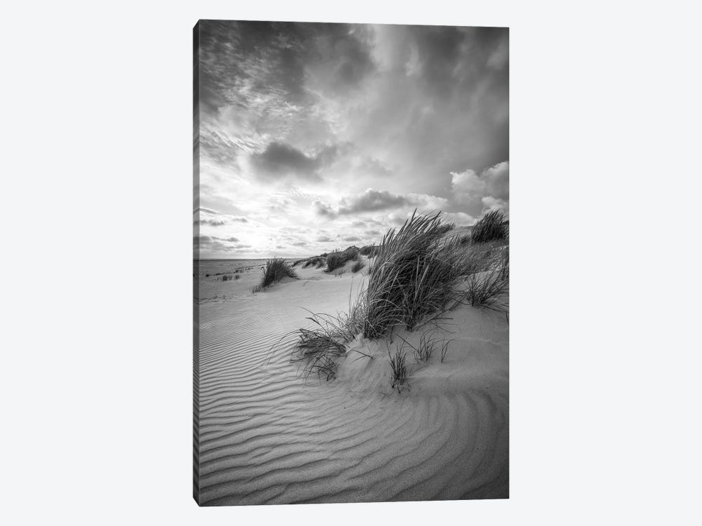 Dune Landscape With Beach Grass In Black And White by Jan Becke 1-piece Canvas Wall Art