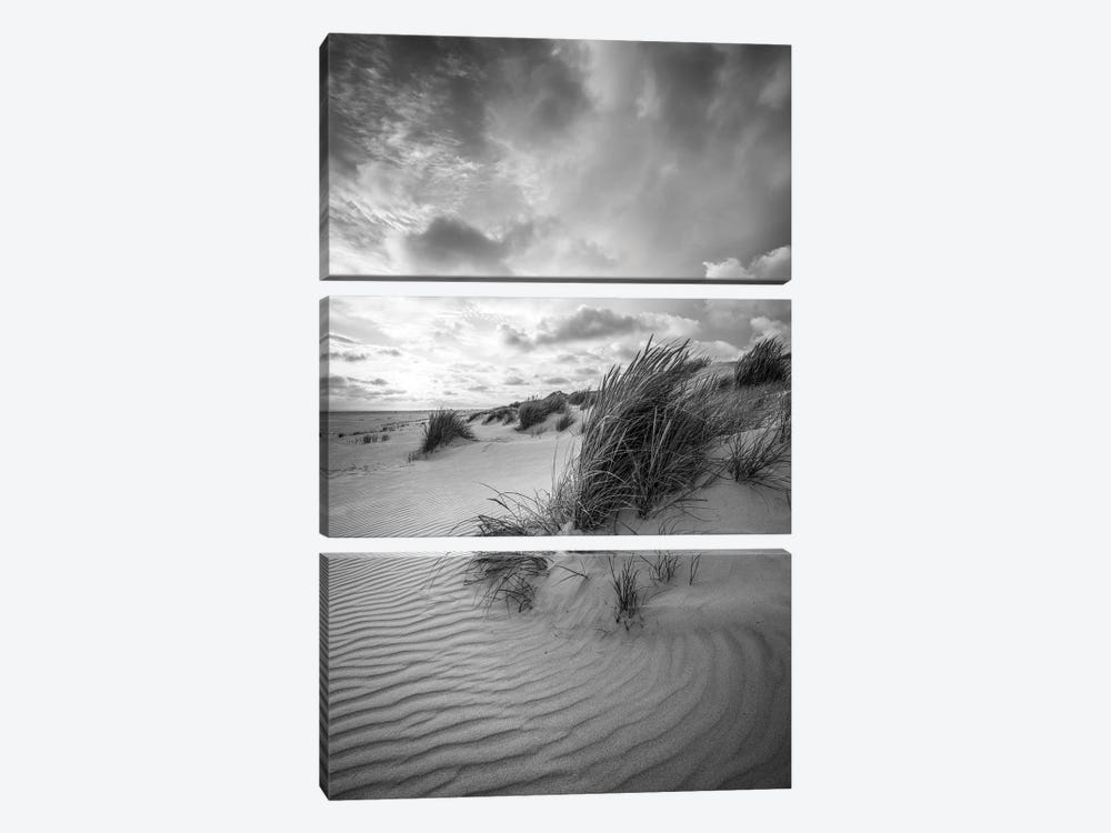 Dune Landscape With Beach Grass In Black And White by Jan Becke 3-piece Canvas Artwork