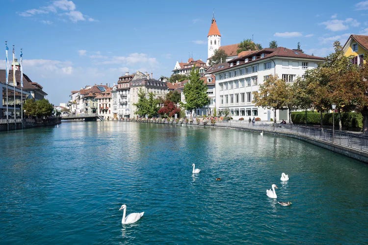 City Of Thun In The Canton Of Bern In Switzerland