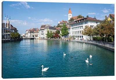 City Of Thun In The Canton Of Bern In Switzerland Canvas Art Print - Switzerland Art