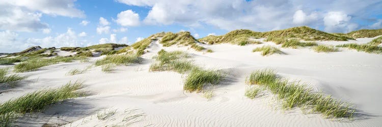 Dune Landscape Panorama With Dune Grass