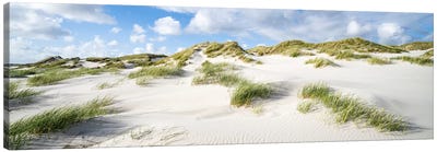 Dune Landscape Panorama With Dune Grass Canvas Art Print - Coastal Sand Dune Art