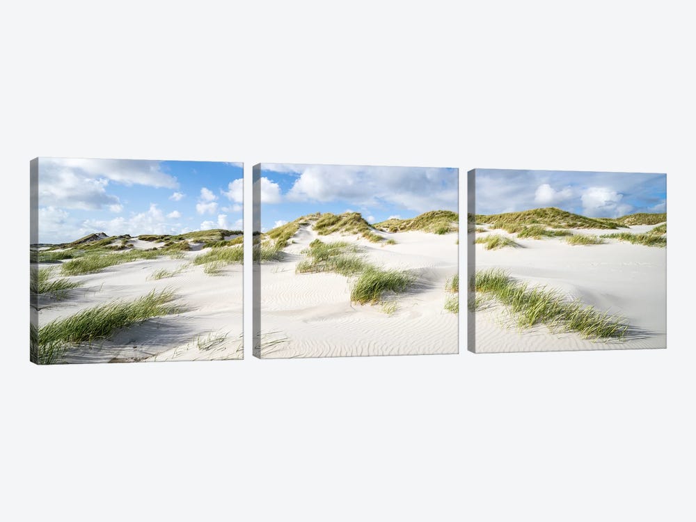 Dune Landscape Panorama With Dune Grass by Jan Becke 3-piece Canvas Art