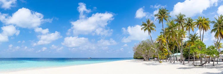 Beautiful Beach Panorama With Palm Trees, Maldives