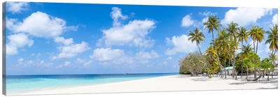 Beautiful Beach Panorama With Palm Trees, Maldives Canvas Art Print - Maldives