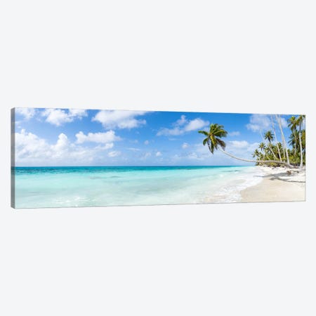 Tropical Beach With Hanging Palm Tree On Fakarava, French Polynesia Canvas Print #JNB2488} by Jan Becke Canvas Art