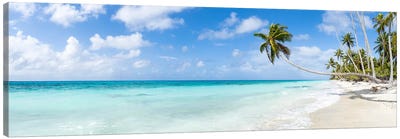 Tropical Beach With Hanging Palm Tree On Fakarava, French Polynesia Canvas Art Print - Oceania Art