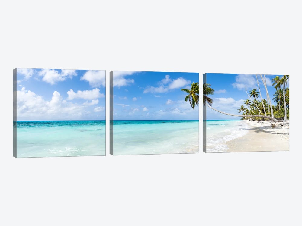 Tropical Beach With Hanging Palm Tree On Fakarava, French Polynesia by Jan Becke 3-piece Art Print