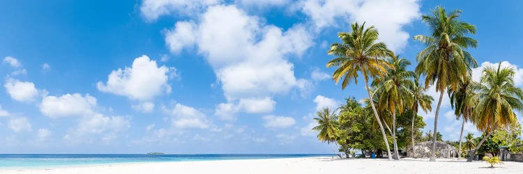 Tropical Beach Panorama With Palm Trees, Maldives