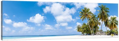Tropical Beach Panorama With Palm Trees, Maldives Canvas Art Print - Maldives