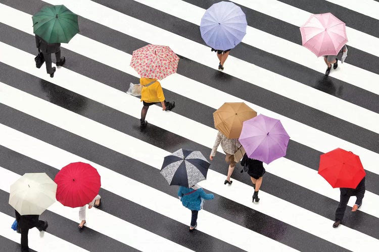 Colorful Umbrellas In Shibuya, Tokyo, Japan