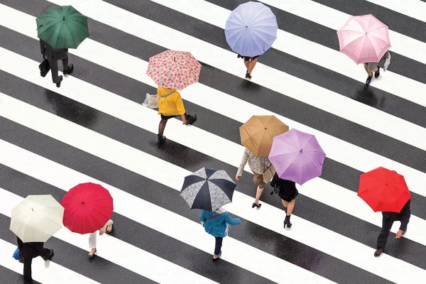 Umbrellas: Colorful Umbrellas In Shibuya, Tokyo, Japan by Jan Becke