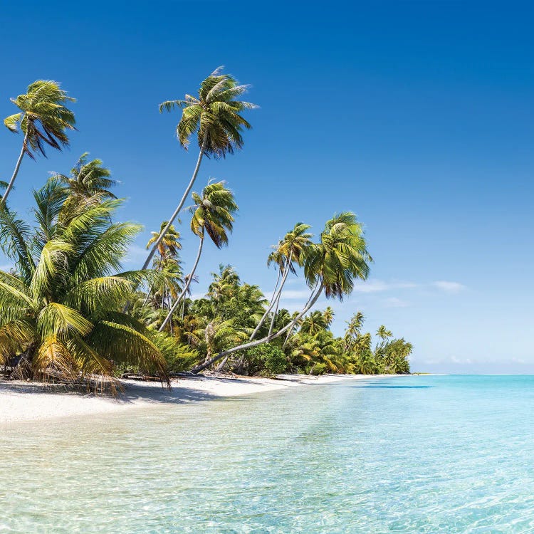 Tropical Island In The South Seas, Fakarava Atoll, French Polynesia