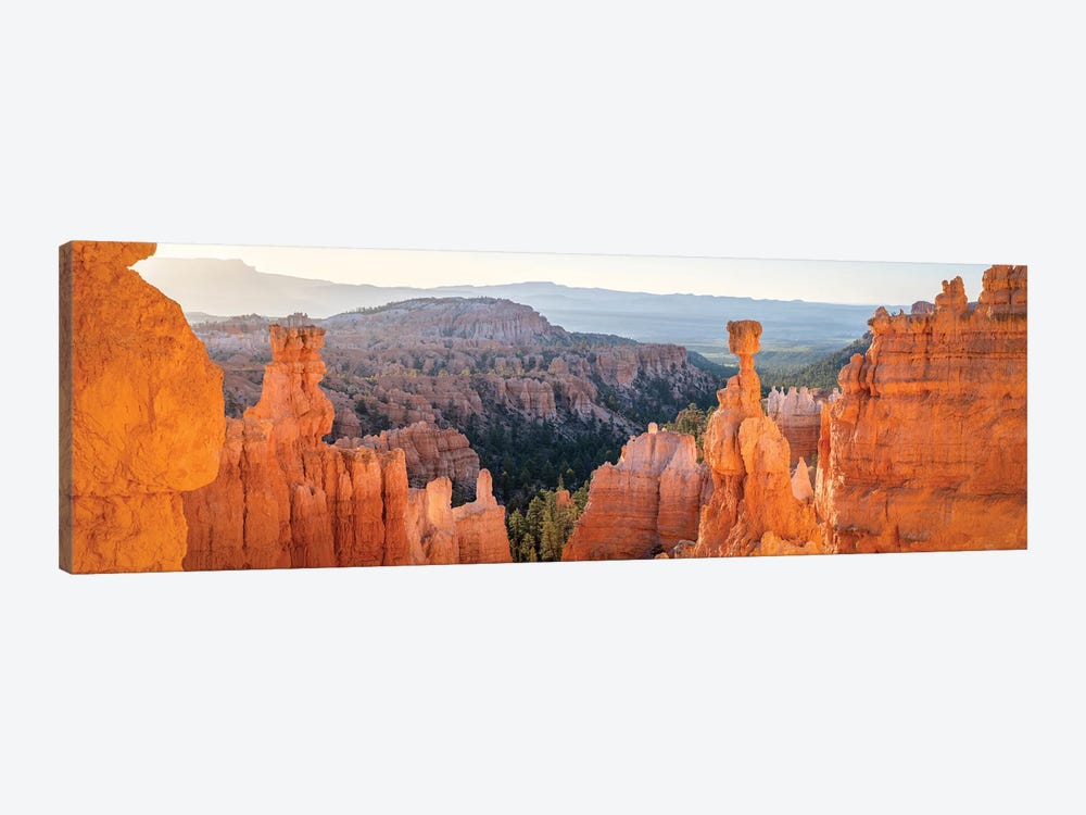 Panoramic View Of Thor's Hammer At Sunrise, Bryce Canyon National Park, Utah, USA by Jan Becke 1-piece Art Print