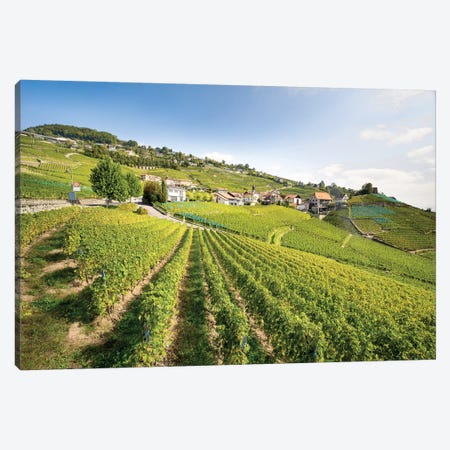 Unesco World Heritage Wine Terrace Near Lavaux, Switzerland Canvas Print #JNB250} by Jan Becke Canvas Wall Art