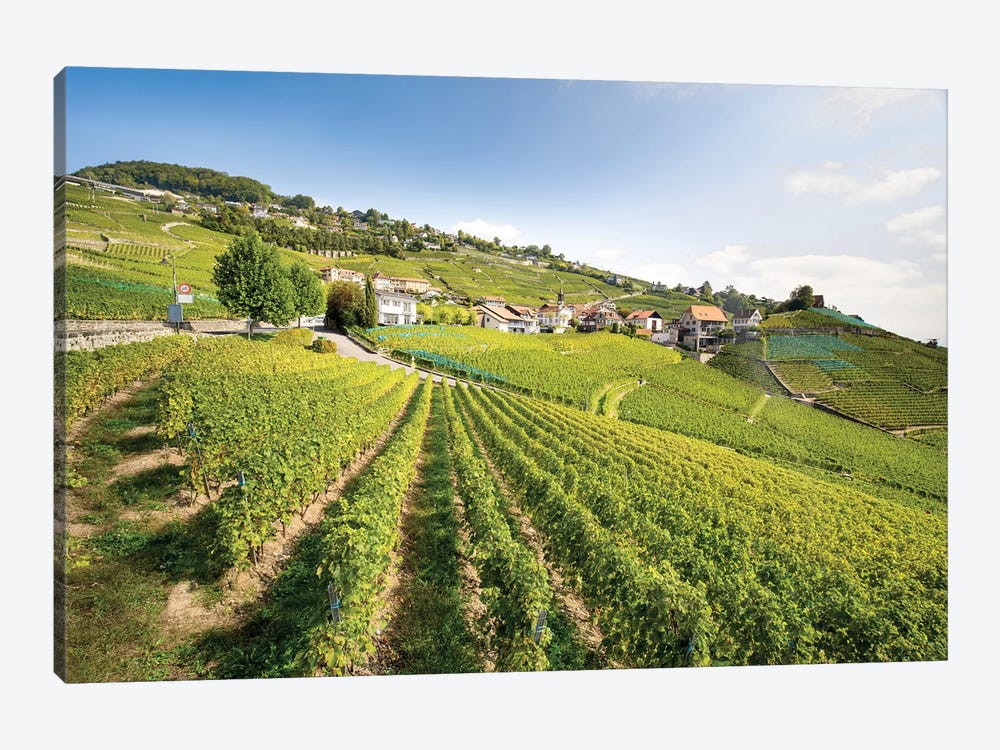 Unesco World Heritage Wine Terrace Near Lavaux, Switzerland by Jan Becke 1-piece Canvas Print