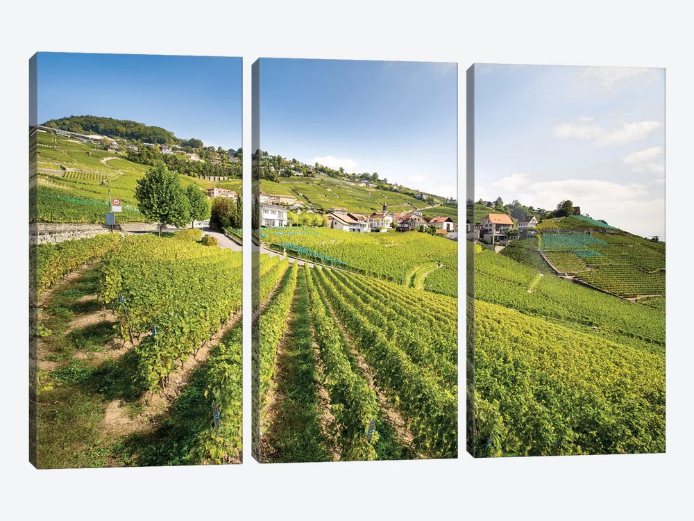 Unesco World Heritage Wine Terrace Near Lavaux, Switzerland by Jan Becke 3-piece Art Print