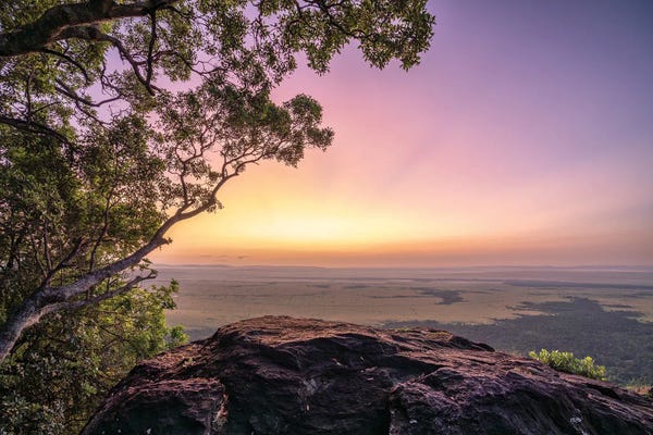 Maasai Mara National Reserve: Maasai Mara (Masai Mara) At Sunrise, Kenya by Jan Becke