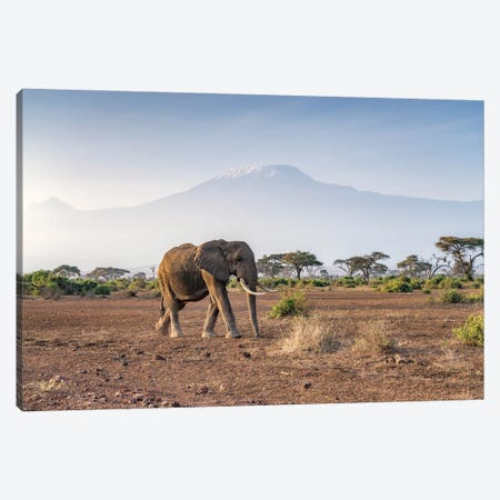 Elephant In Front Of Mount Kilimanjaro, Amboseli National Park, Kenya Canvas Print #JNB2518} by Jan Becke Canvas Art