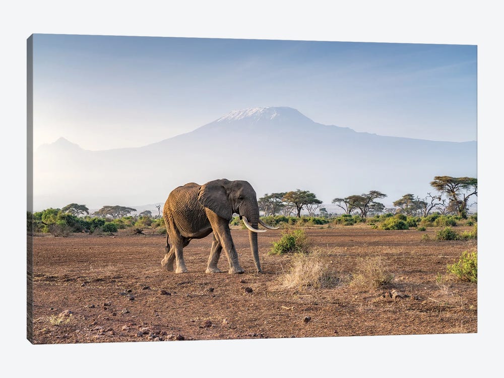 Elephant In Front Of Mount Kilimanjaro, Amboseli National Park, Kenya by Jan Becke 1-piece Art Print