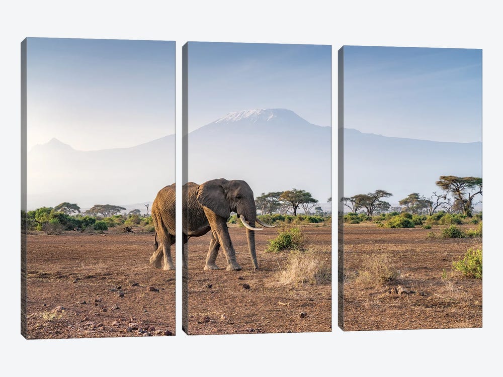 Elephant In Front Of Mount Kilimanjaro, Amboseli National Park, Kenya by Jan Becke 3-piece Art Print