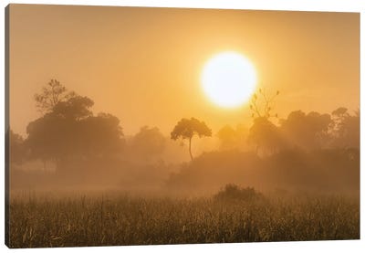 Misty Sunrise In The Maasai Mara (Masai Mara), Kenya Canvas Art Print - Kenya