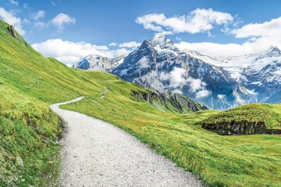 Grindelwald In The Swiss Alps Canvas Wall Art by Jan Becke | iCanvas