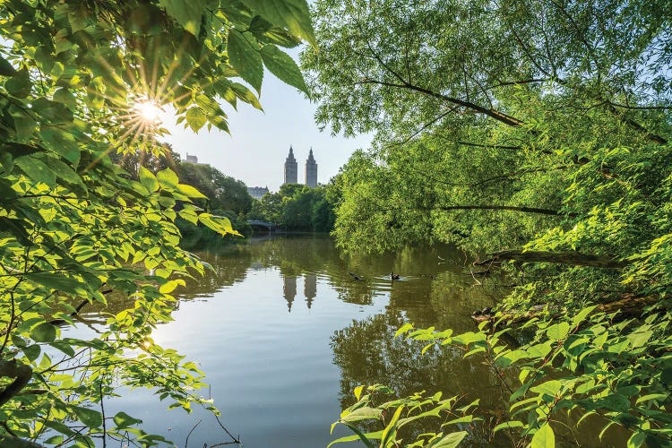 Central Park In Summer, Midtown Manhattan, New York City, USA