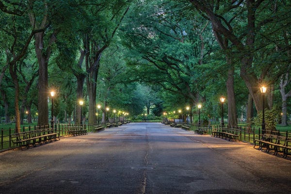 Trails, Paths & Roads: Central Park The Mall, New York City, USA by Jan Becke