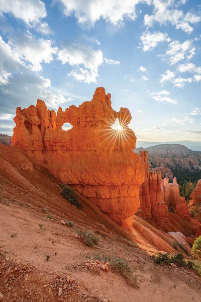 Utah: Hoodoos At Bryce Canyon National Park, Utah, USA by Jan Becke