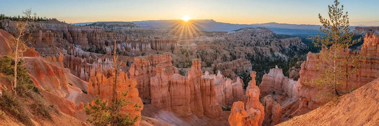 Bryce Canyon Panorama At Sunrise, Utah, USA