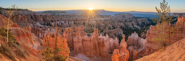 Bryce Canyon Panorama At Sunrise, Utah, USA