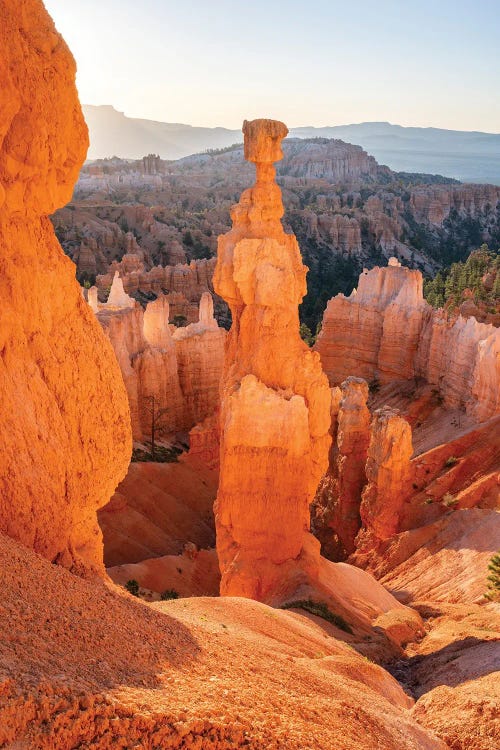 Thor's Hammer, Bryce Canyon National Park, Utah, USA by Jan Becke wall art