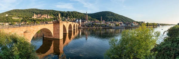Heidelberg: Heidelberg City Panorama In Summer, Baden-Württemberg, Germany by Jan Becke