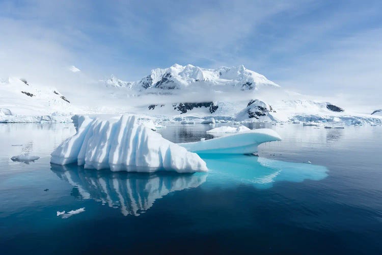Icy Waters Around Paradise Bay, Antarctic Peninsula, Antarctica by Jan Becke wall art